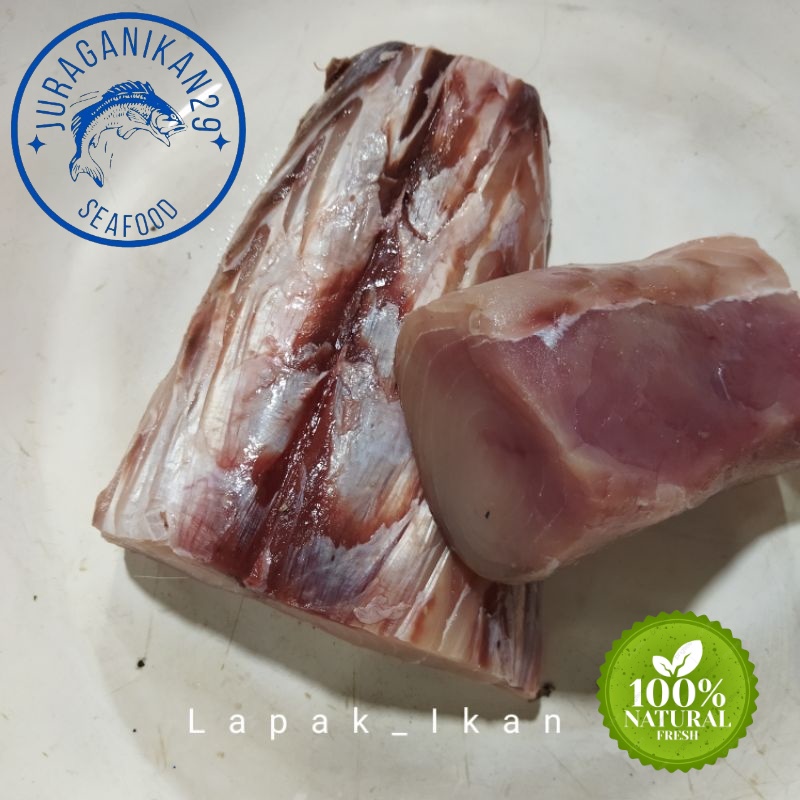 

Daging Ikan Marlin Segar 1~Kilogram