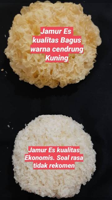 Jamur Es Kualitas EKONOMIS warna cendrung PUTIH, soal rasa saya lebih Rekomen yg KUNING 15 gram