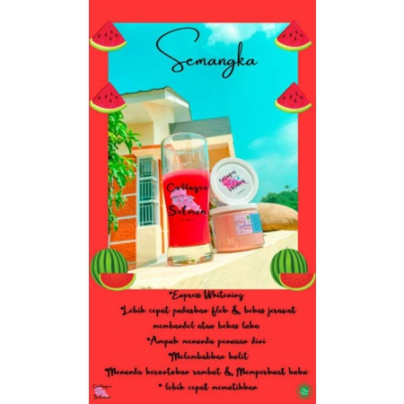 Collagen DNA Salmon (Semangka)