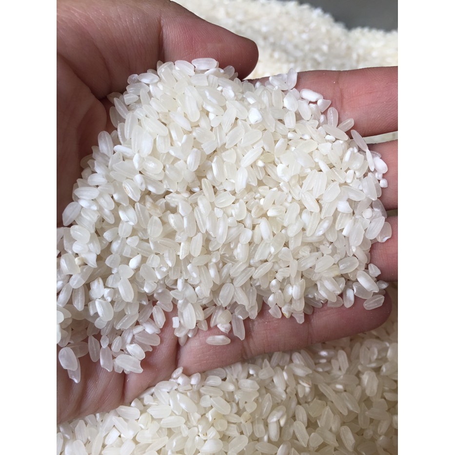 

Beras sushi ecer 1kg Japonica premium grain Rice Ganko rice sushi
