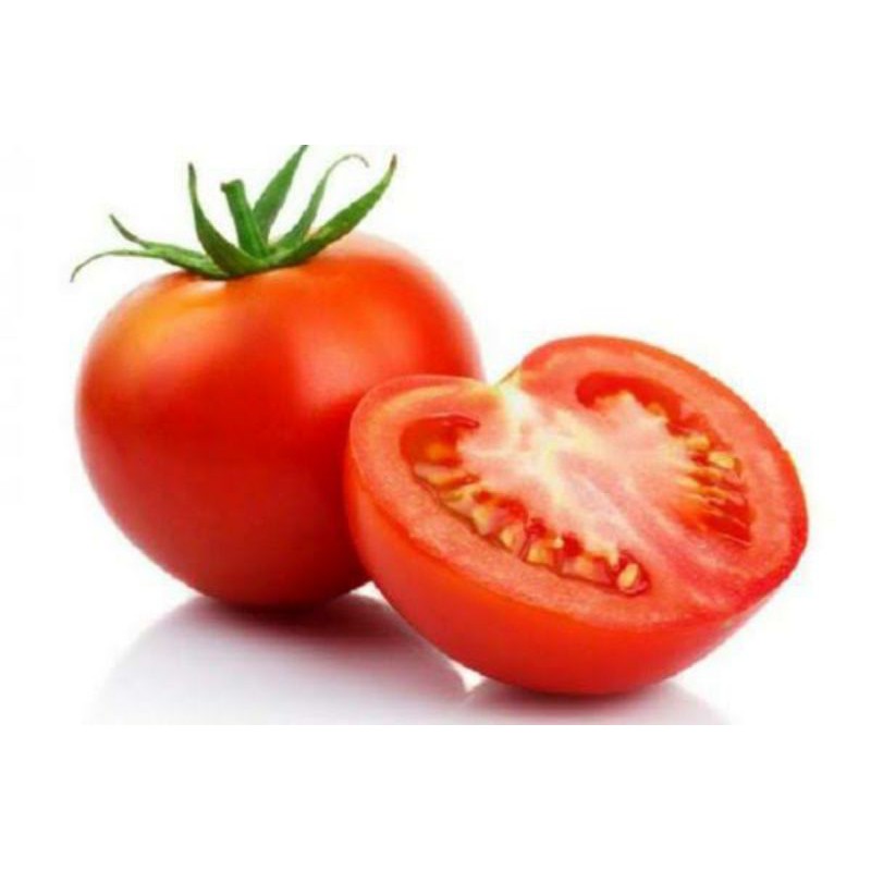 Buah Tomat Merah Segar Harga Satuan Murah Shopee Indonesia Buah Tomat Merah Segar Harga Satuan Murah Shopee Indonesia