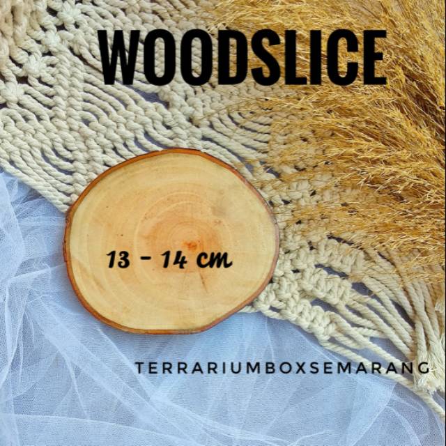 Wood Slice / Alas Kayu Mahoni