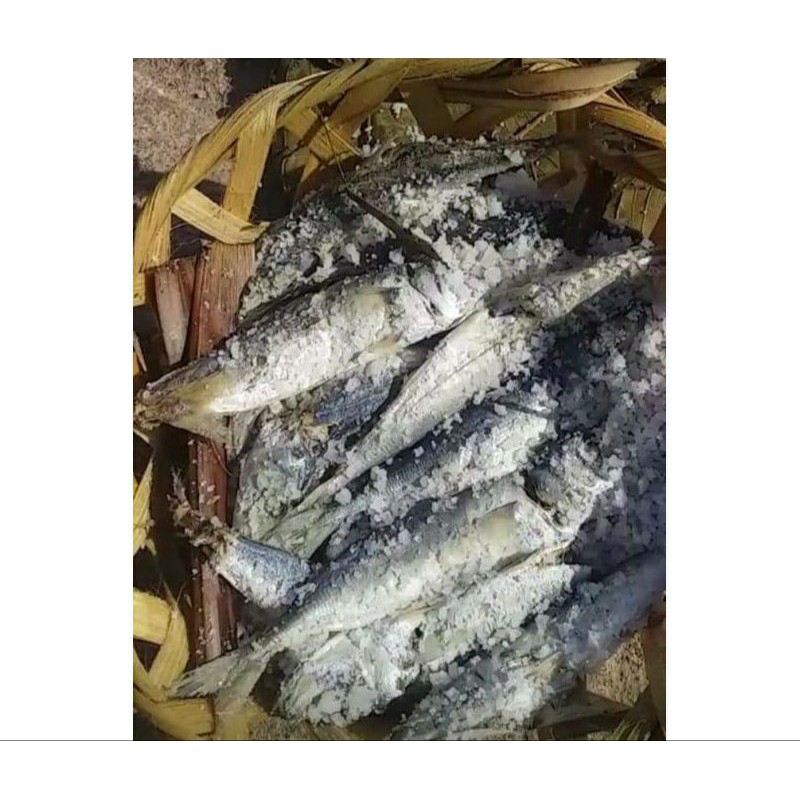 Ikan Asin Pindang Keranjang / Ikan Asin Pindang Kuantan Khas Banjarmasin / Ikan Asin Layang Rebus Keranjang