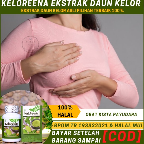 Obat kista Payudara, Penghancur Kista Payudara, Benjolan Lunak Di Payudara, Penghancur  Benjolan Di 