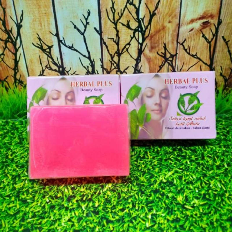 SABUN HERBAL PLUS BPOM WAJAH