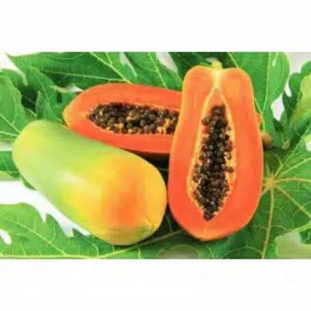 

❤ SEMBAKO MURAH ❤ Pepaya Kiloan Buah Sayur Murah bekasi