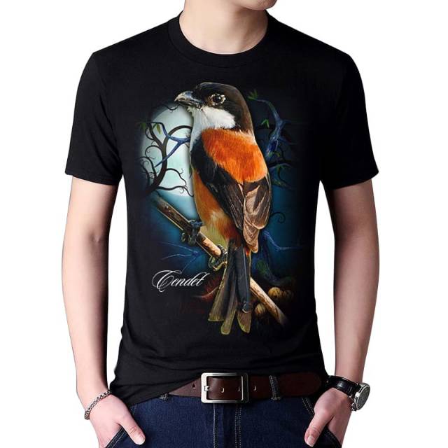 420 Gambar Burung Cendet Kartun HD Terbaru