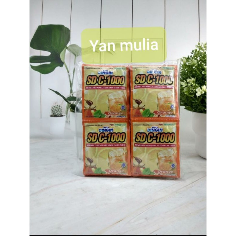 

Segar dingin orange isi 24pcs