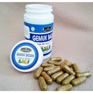 Obat Penggemuk Badan Kapsul Binasyifa Gemuk Badan Original Garansi Uang Kembali Jika Palsu Shopee Indonesia