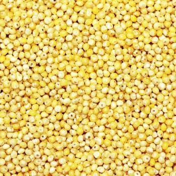 Milet Kuning 25kg