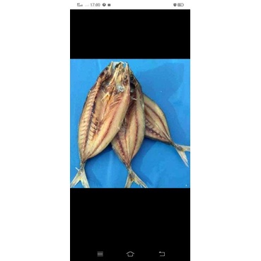 

Ikan asin berat 500 gr