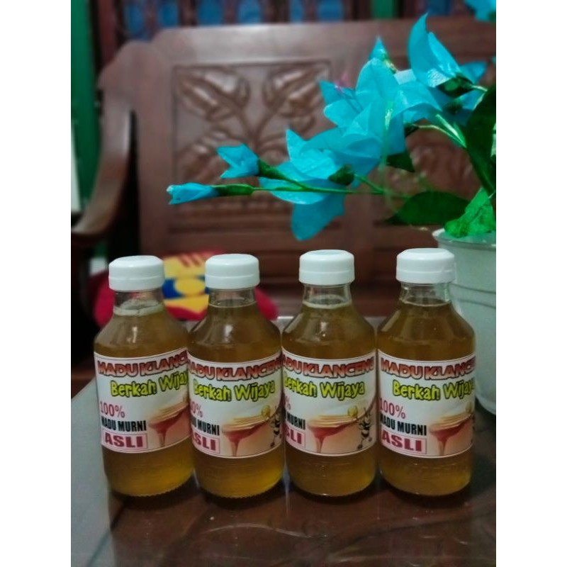 

Madu Klanceng
