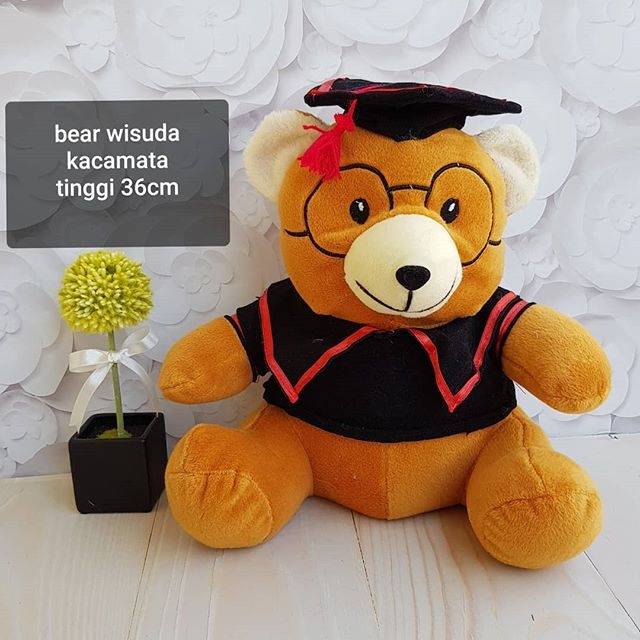 Boneka Bear wisuda kacamata sarjana