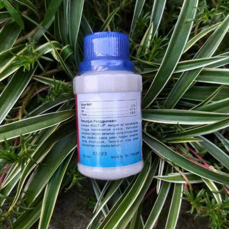 [ART. 82846] ROOT UP HORMON PERANGSANG PERTUMBUHAN AKAR - rot up 100gr (3.3)