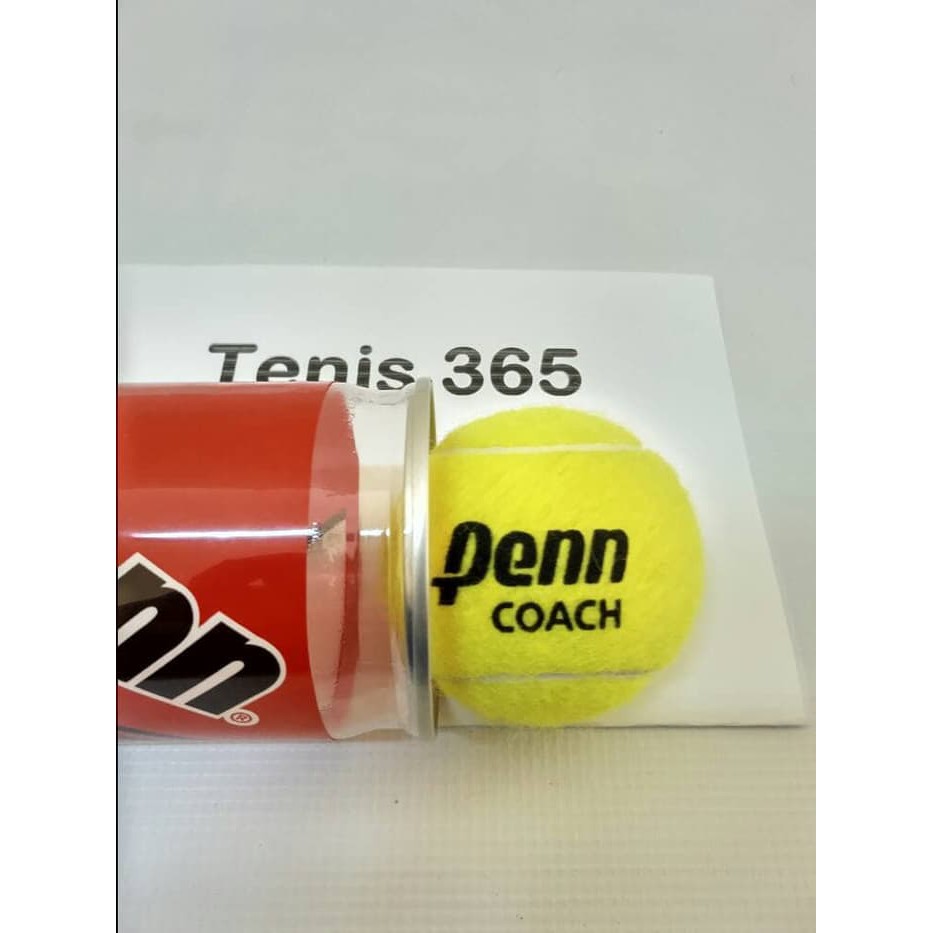 Bola tenis penn isi 3   Penn Coach Tennis Ball Original paling murah