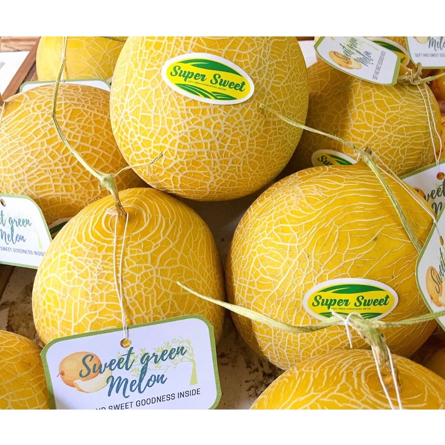 

Buah Melon Sweet Green Inthanon | Melon Hidroponik Manis - Pilih Varian Berat