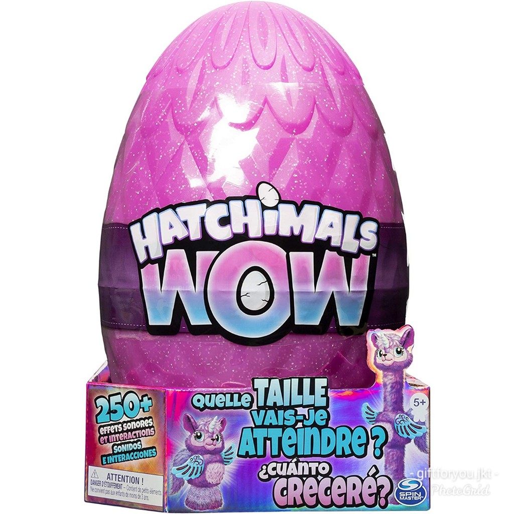 hatchimal interactive egg