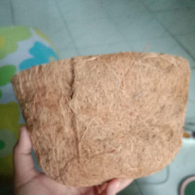 Pot anggrek  sabut kelapa Pot bunga sabut kelapa Pot 