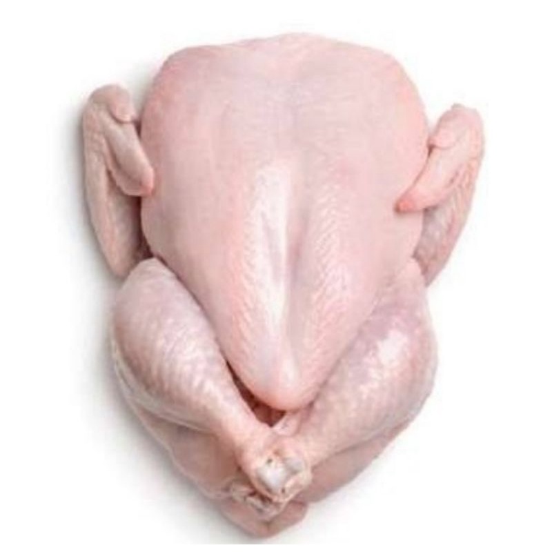 

Ayam broiler utuh