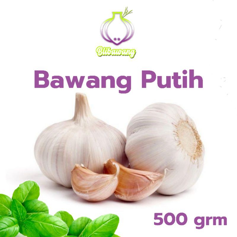 

Bawang Putih 500 gram / bawang putih fresh 1 kg