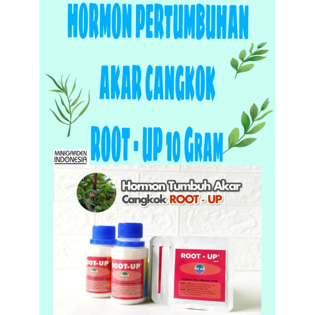 ECER 10 GRAM ROOT UP perangsang akar dan hormon pertumbuhan akar cangkok stek batang rootup