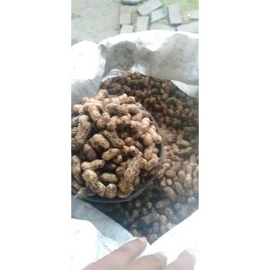 

KacangTanah Mentah 1Cupak