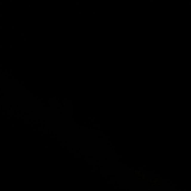 Box Perhiasan/kotak Perhiasan/tempat Perhiasan Bear Beruang