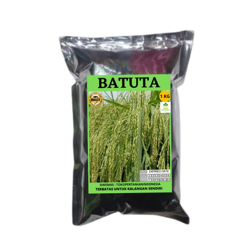 COD BATUTA 1kg benih padi LANGKA BERKUALITAS BANYAK DI CARI PETANI ,HASIL PANEN MELIMPAH..-4