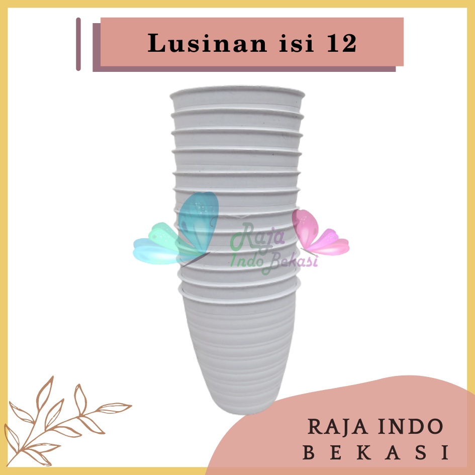 LUSINAN Pot Tawon Pirus 12 Putih Pot Tawon Tirus 12 Cm Grosir Pot Tinggi Putih Tanaman Lidah Mertua