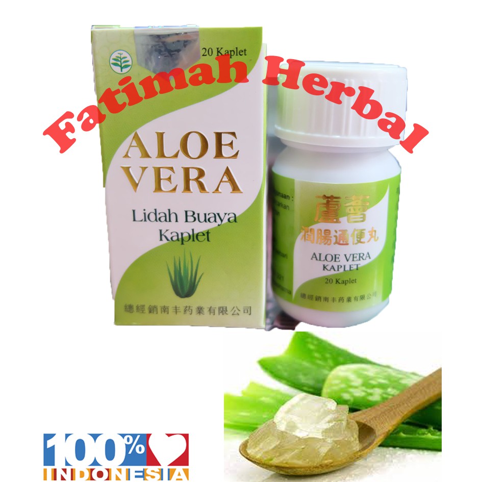 Jual Aloe Vera Kapsul Lidah Buaya 20 Kapsul Indonesia Shopee Indonesia