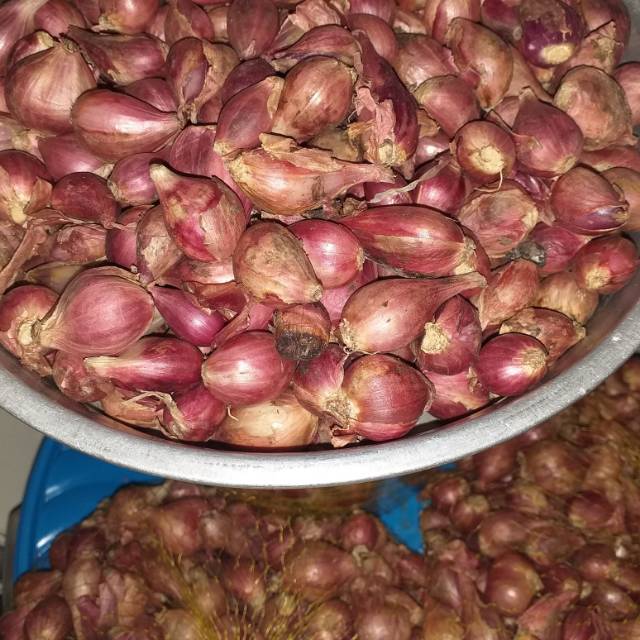 

Bawang merah 1kg