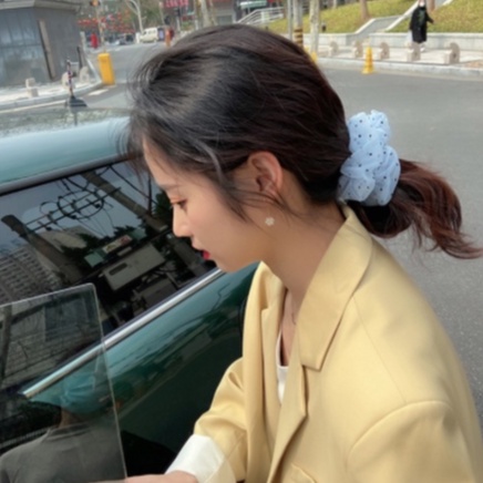 SCRUNCHIE SIFON MOTIF KOREA PREMIUM - Ikat Rambut - Mesh Scrunchie Transparan