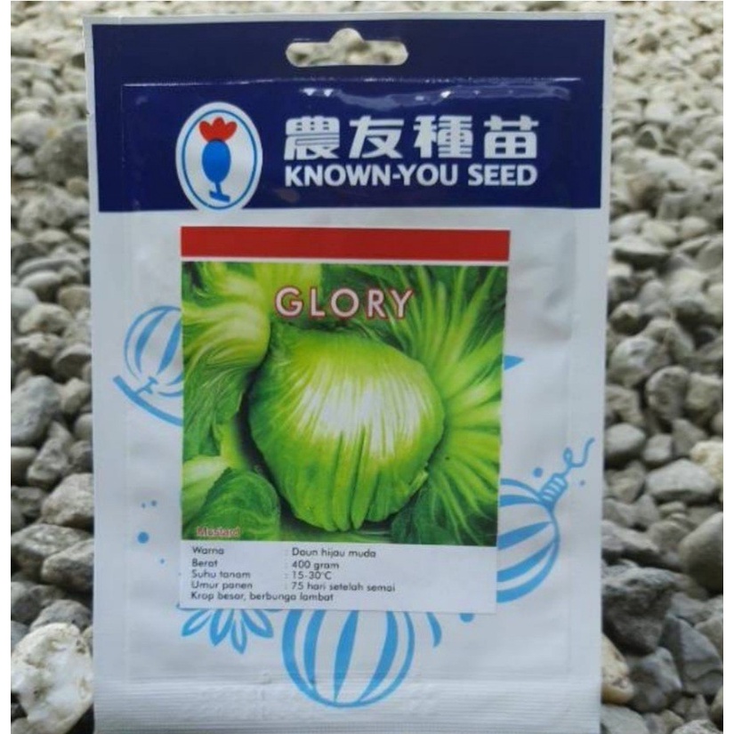 SAWI PAHIT GLORY 20 GRAM PACK BESAR biji benih bibit mustard hibrida f1 known you seed