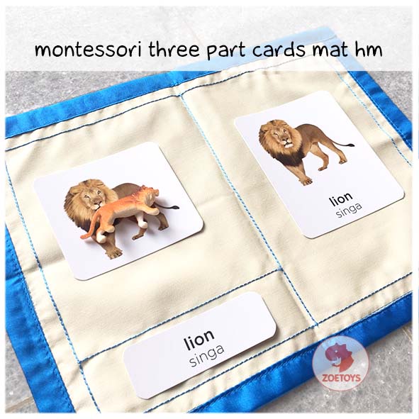 Zoetoys Montessori Three Part Cards Tray | LANGUAGE | Mainan Edukasi Anak