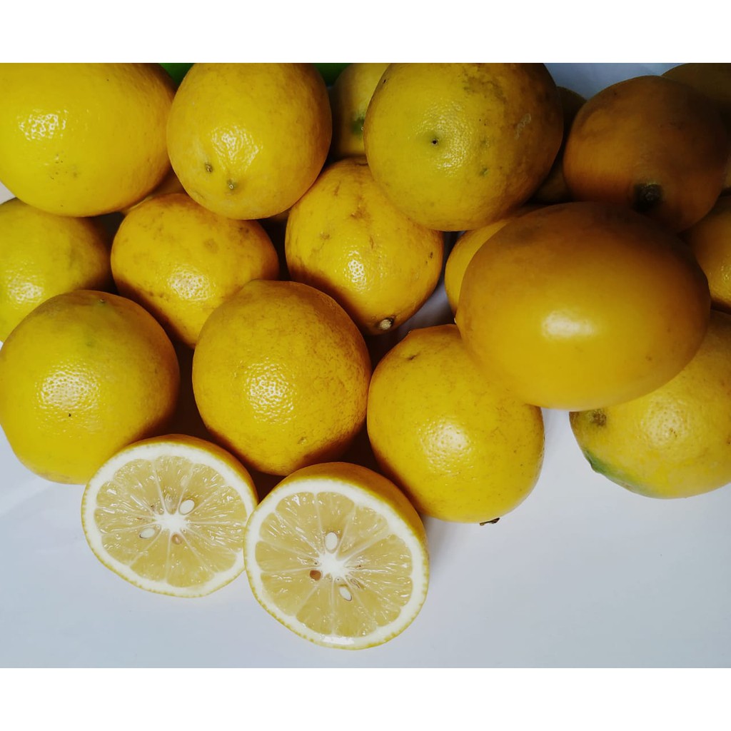 

Lemon California Premium 1 Kg