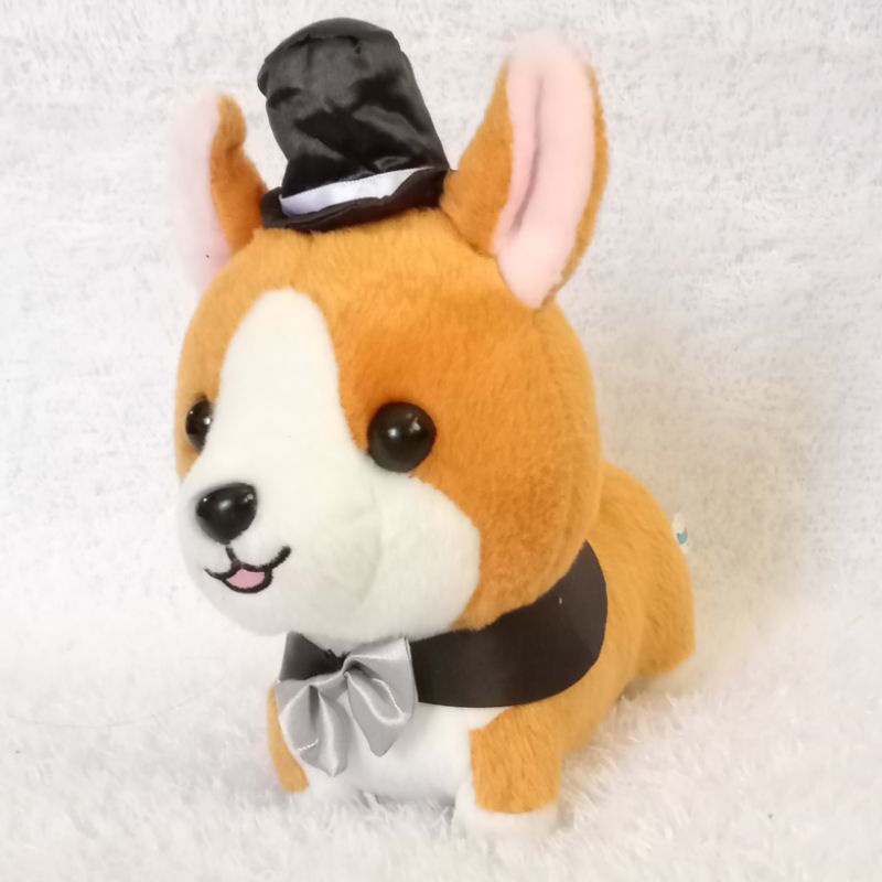 ✔️Doggy raburi ❤️