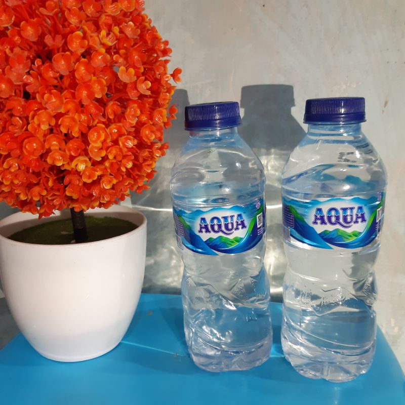 

Air Mineral Aqua Botol
