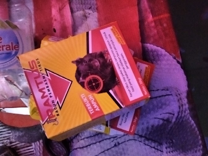 Ramtus Racun Tikus Ampuh Mati Kering Tidak Bau Pembasmi Curut Wirog Mencit Dirumah Di Mobil 6 Pack