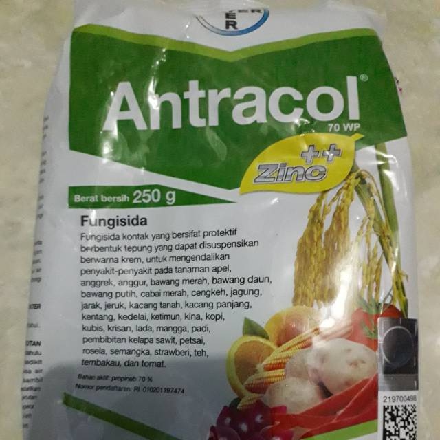 Fungisida Antracol