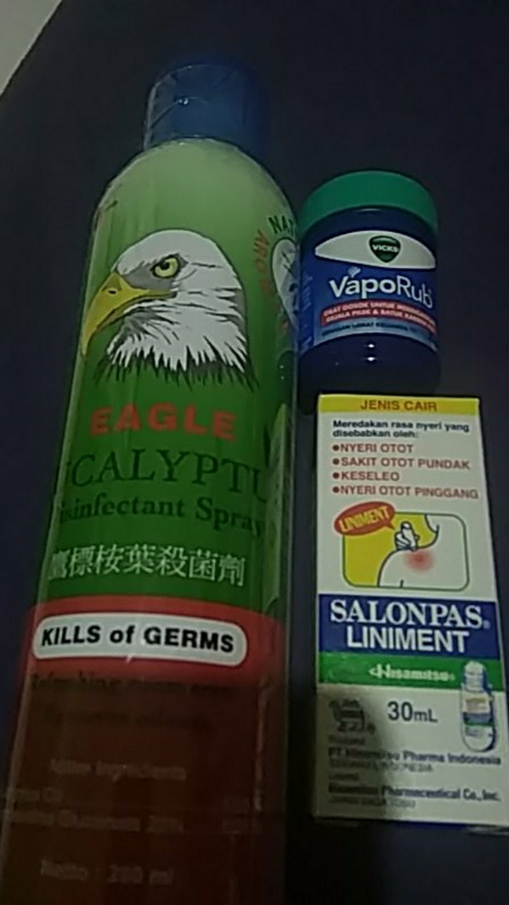 Eagle Eucalyptus Disinfectant Spray 280 Ml Pengharum Ruangan