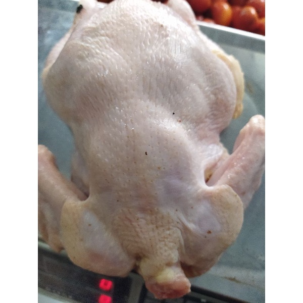 

daging ayam frash 500g