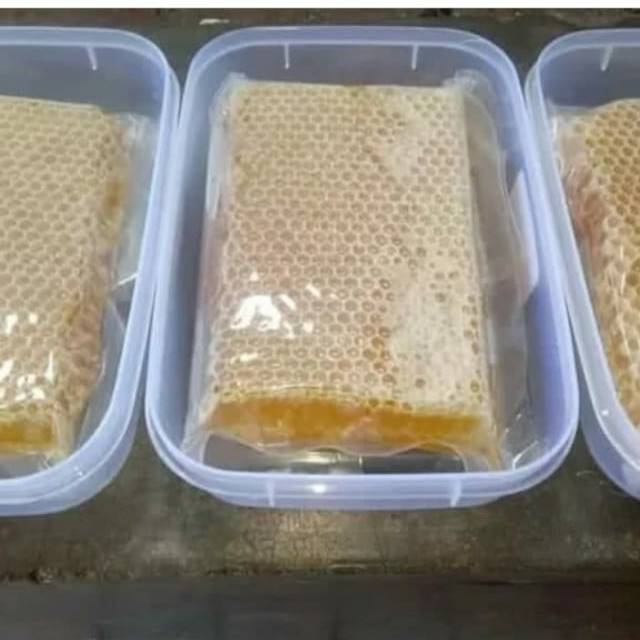 

promo sarangmadu melifera asli honeycomb 500grm dari lebah apis melifera