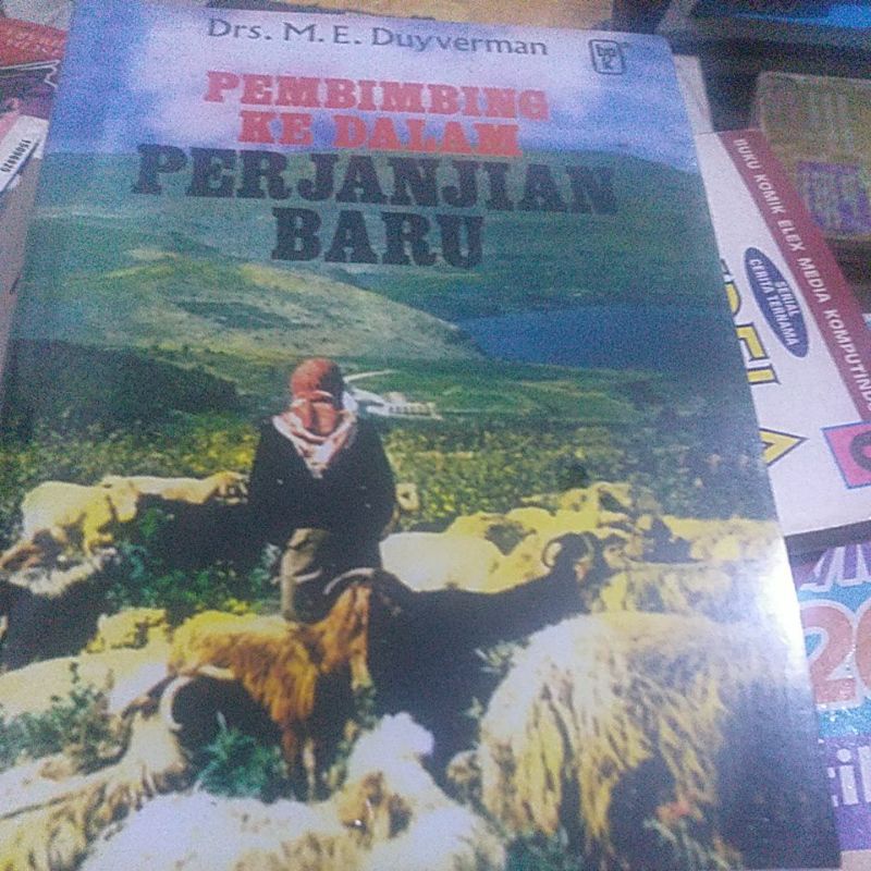 Buku pembimbing ke dalam perjanjian baru