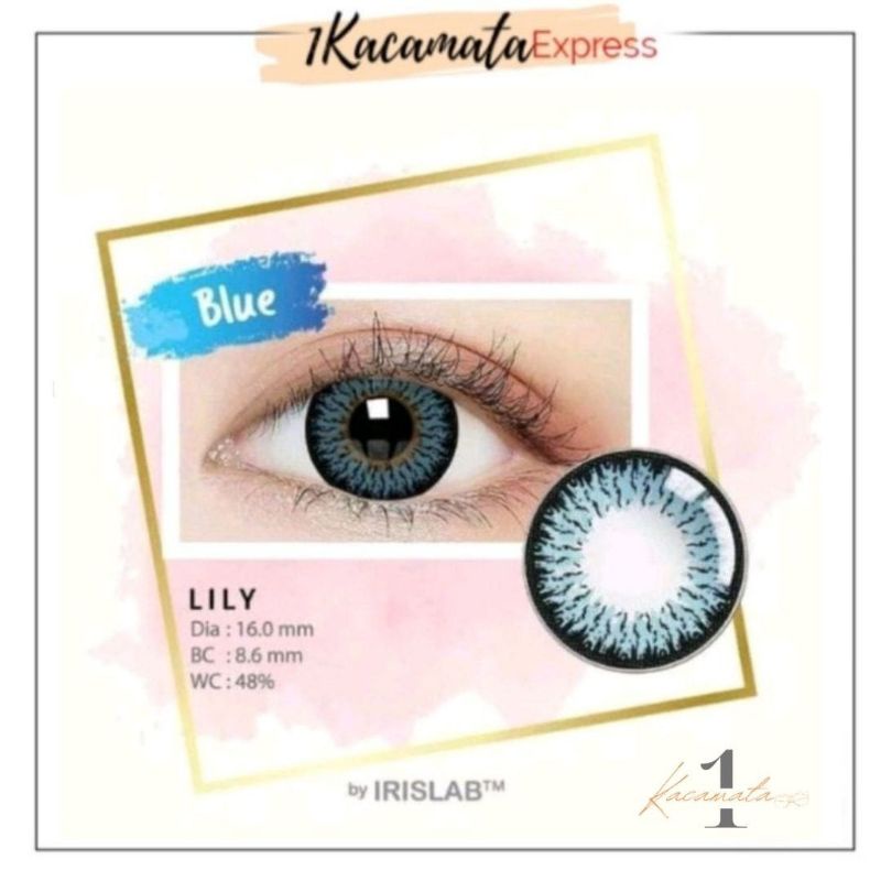 SOFTLENS WARNA