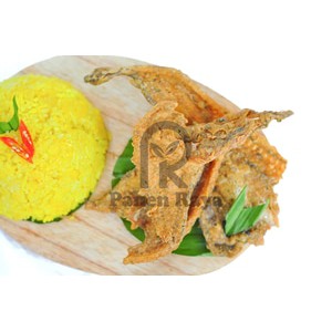 

Peyek Ikan Asin Jambrong PR 500gr Rempeyek Siap Makan