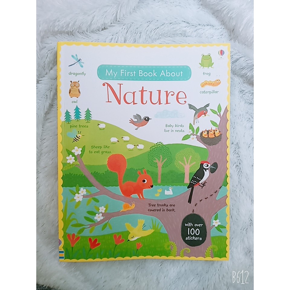 USBORNE STICKER BOOK - NATURE