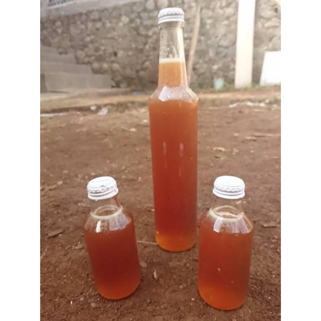 

Madu Apismelifera