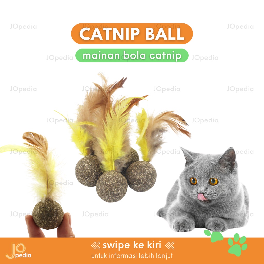 CATNIP BALL Snack Kucing Bola Bulu Makanan Serbuk Daun Cat Mint Powder