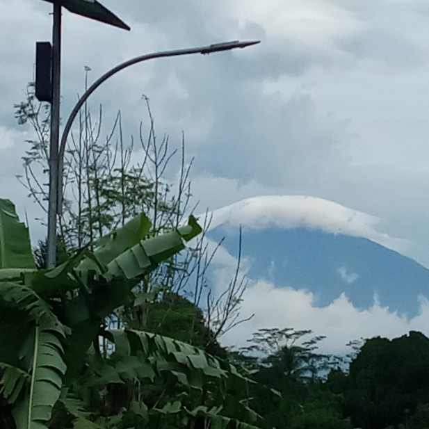 (motif Random) Sprei Perca California Mix 160 X 200