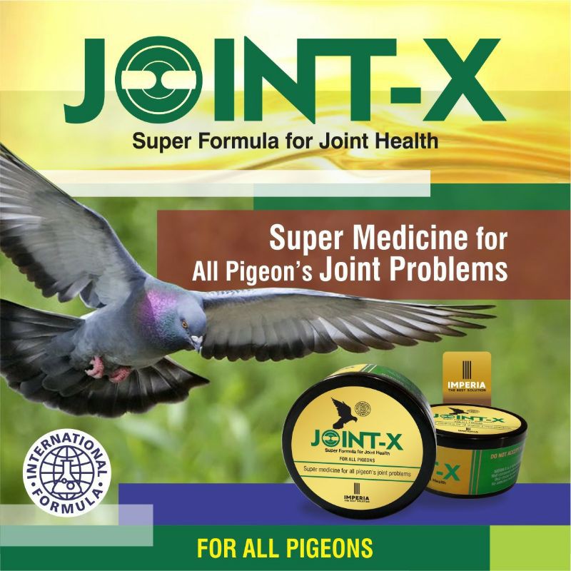Joint-X  Imperia (Obat untuk merpati turun urat, uci-uci, semper mendadak, sender)